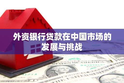 兴山外资银行贷款在中国市场的发展与挑战
