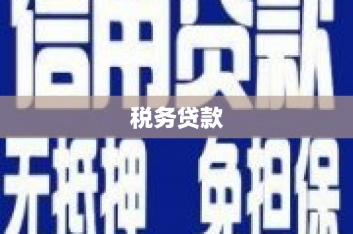 兴山税务贷款