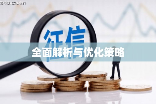 兴山全面解析与优化策略