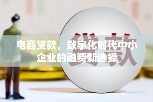 兴山电商贷款，数字化时代中小企业的融资新选择