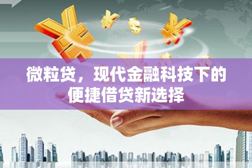 兴山微粒贷，现代金融科技下的便捷借贷新选择