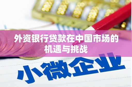 兴山外资银行贷款在中国市场的机遇与挑战