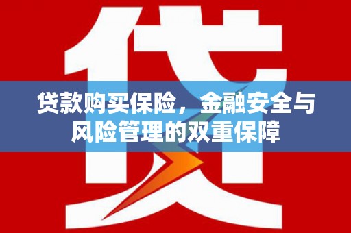 兴山贷款购买保险，金融安全与风险管理的双重保障