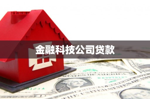 兴山金融科技公司贷款