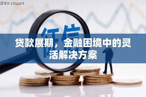 兴山贷款展期，金融困境中的灵活解决方案