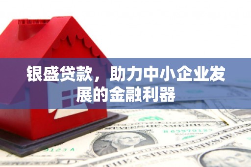 兴山银盛贷款，助力中小企业发展的金融利器