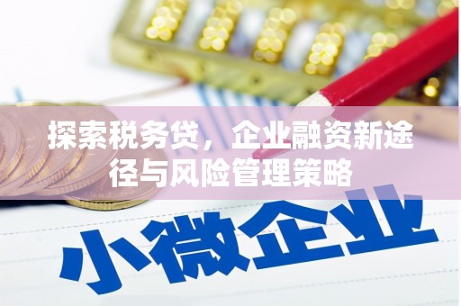 兴山探索税务贷，企业融资新途径与风险管理策略
