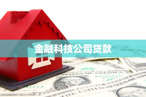 兴山金融科技公司贷款