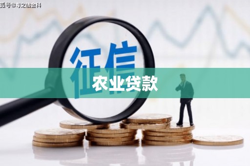 兴山农业贷款