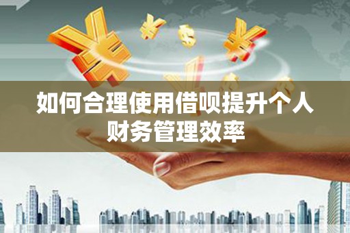 兴山如何合理使用借呗提升个人财务管理效率