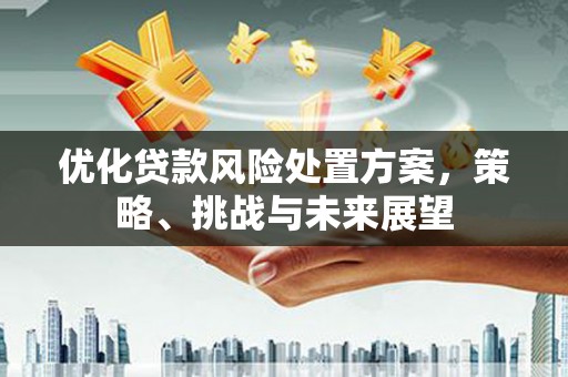 兴山优化贷款风险处置方案，策略、挑战与未来展望