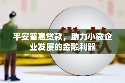 兴山平安普惠贷款，助力小微企业发展的金融利器