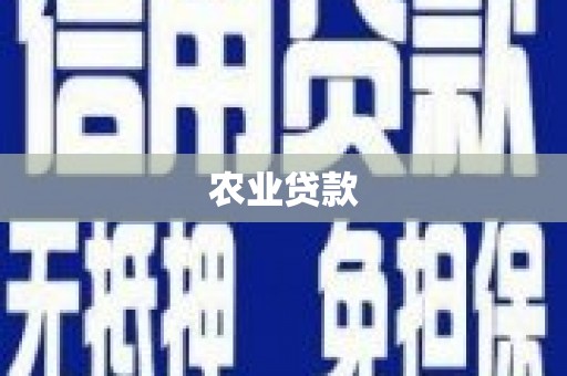 兴山农业贷款