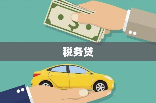 兴山税务贷