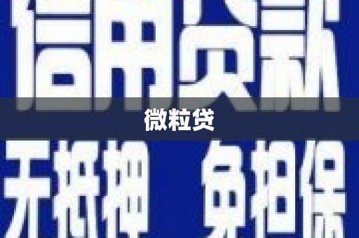 兴山微粒贷