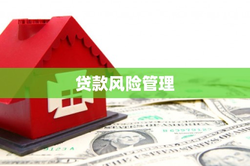 兴山贷款风险管理