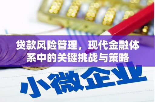 兴山贷款风险管理，现代金融体系中的关键挑战与策略