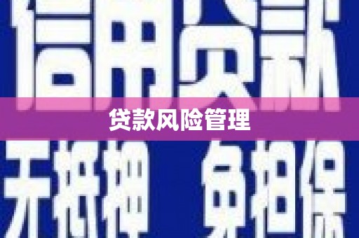 兴山贷款风险管理