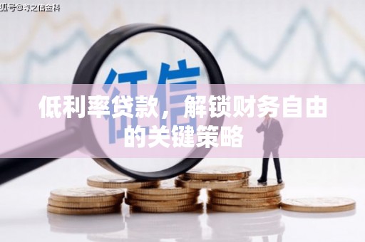 兴山低利率贷款，解锁财务自由的关键策略
