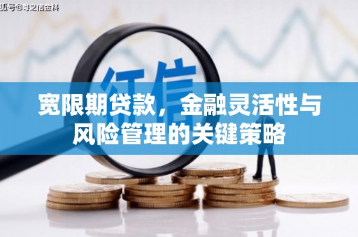 兴山宽限期贷款，金融灵活性与风险管理的关键策略