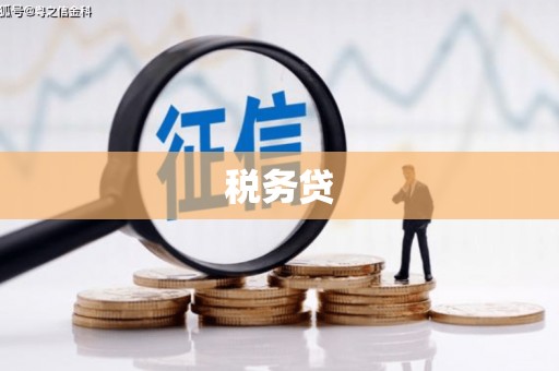 兴山税务贷