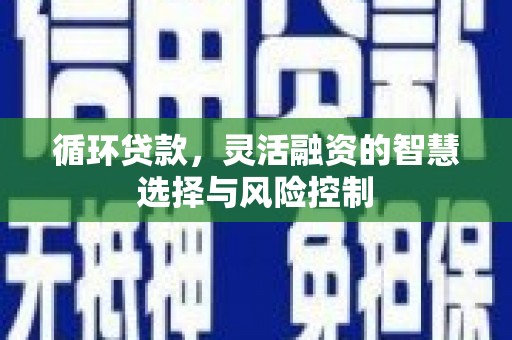 兴山循环贷款，灵活融资的智慧选择与风险控制