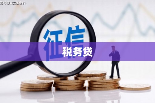 兴山税务贷