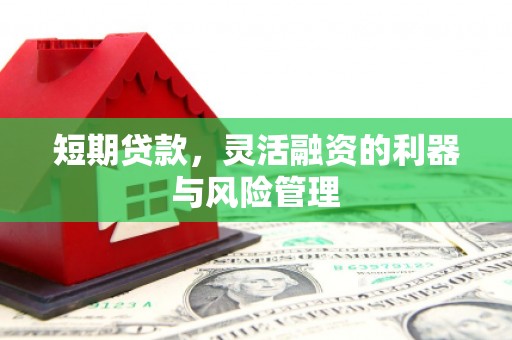 兴山短期贷款，灵活融资的利器与风险管理