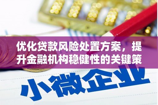 兴山优化贷款风险处置方案，提升金融机构稳健性的关键策略