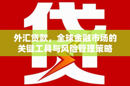 兴山外汇贷款，全球金融市场的关键工具与风险管理策略