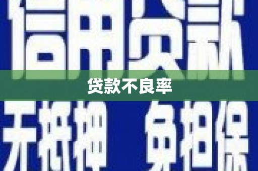 兴山贷款不良率