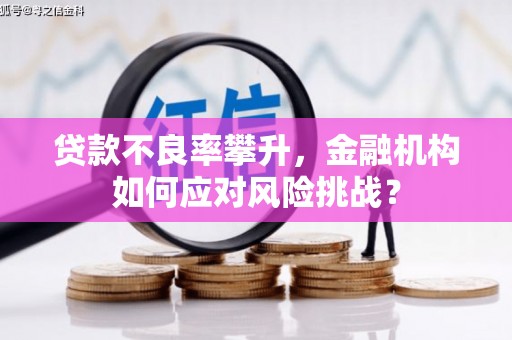 兴山贷款不良率攀升，金融机构如何应对风险挑战？