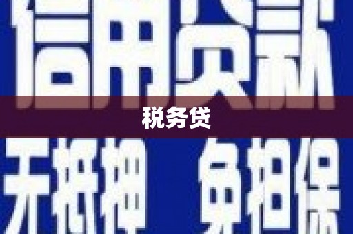 兴山税务贷