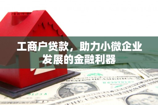 兴山工商户贷款，助力小微企业发展的金融利器