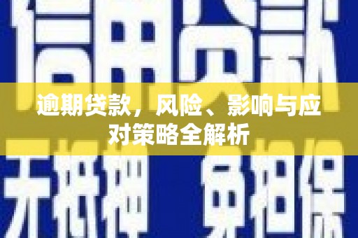 兴山逾期贷款，风险、影响与应对策略全解析