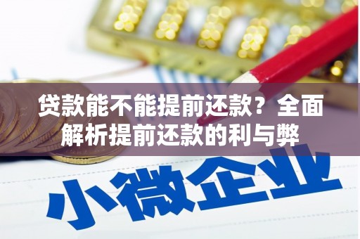 兴山贷款能不能提前还款？全面解析提前还款的利与弊