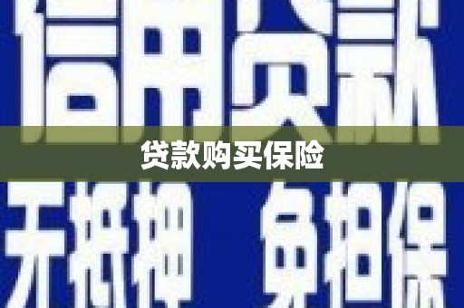 兴山贷款购买保险