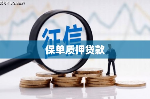 兴山保单质押贷款