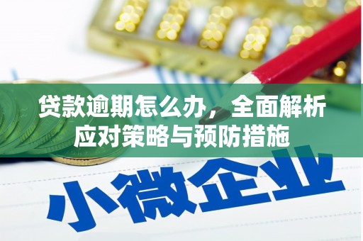 兴山贷款逾期怎么办，全面解析应对策略与预防措施