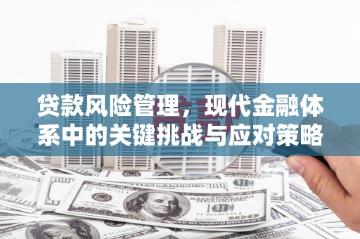 兴山贷款风险管理，现代金融体系中的关键挑战与应对策略