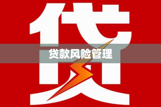 兴山贷款风险管理