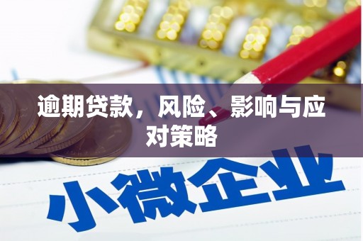 兴山逾期贷款，风险、影响与应对策略