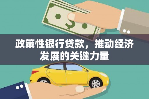兴山政策性银行贷款，推动经济发展的关键力量