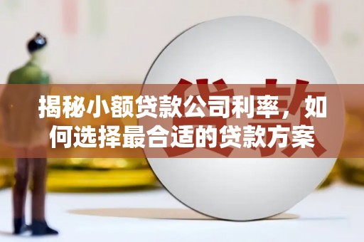 兴山揭秘小额贷款公司利率，如何选择最合适的贷款方案