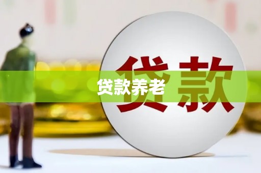兴山贷款养老