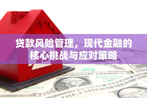 兴山贷款风险管理，现代金融的核心挑战与应对策略