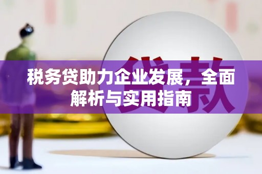 兴山税务贷助力企业发展，全面解析与实用指南
