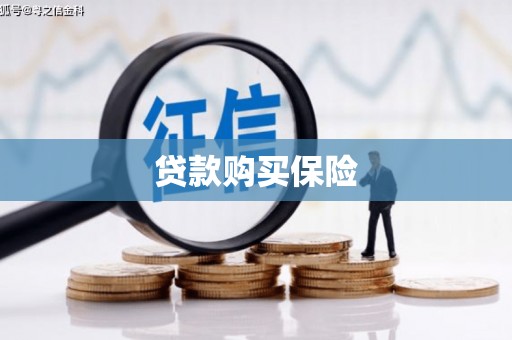 兴山贷款购买保险