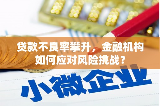 兴山贷款不良率攀升，金融机构如何应对风险挑战？