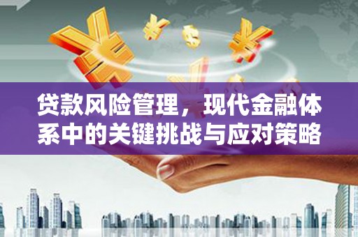 兴山贷款风险管理，现代金融体系中的关键挑战与应对策略
